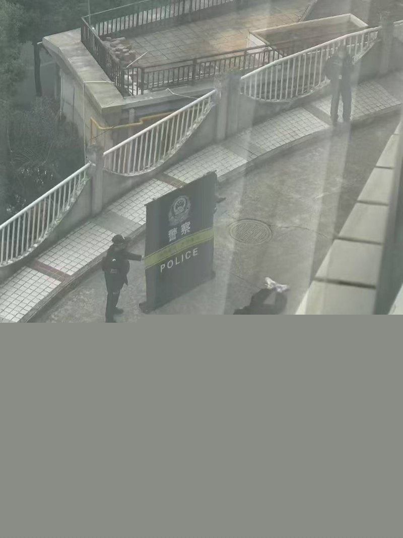 photo_2025-01-07_19-48-18.jpg photo_2025-01-07_19-48-18.jpg