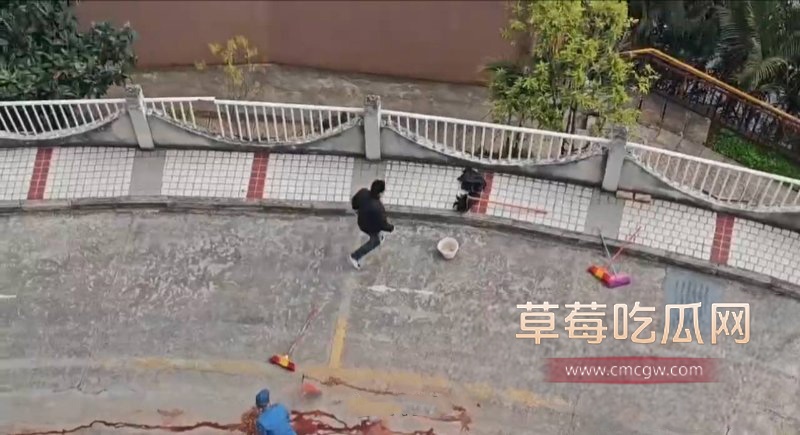 photo_2025-01-07_19-48-25.jpg photo_2025-01-07_19-48-25.jpg