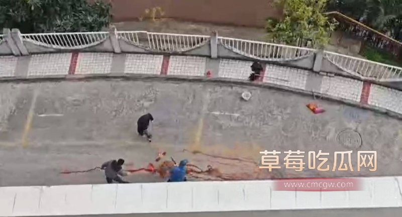 photo_2025-01-07_19-48-27.jpg photo_2025-01-07_19-48-27.jpg