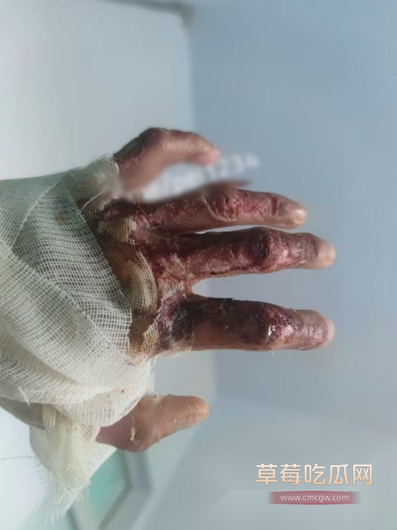 photo_2025-01-15_19-26-31.jpg photo_2025-01-15_19-26-31.jpg