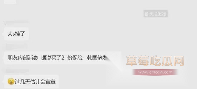 大s去世1.jpg 大s去世1.jpg