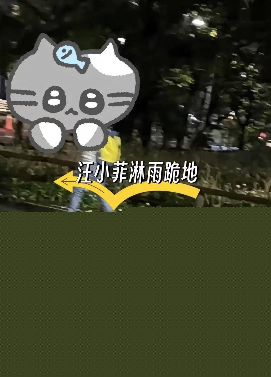 大S汪小菲2.jpg 大S汪小菲2.jpg