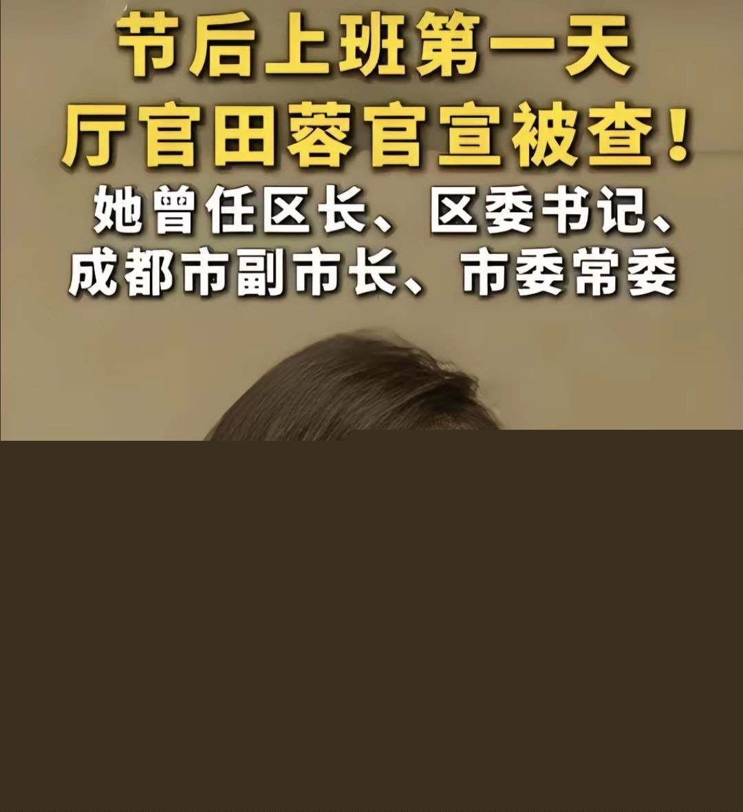 女贪官田蓉落马3.jpg 女贪官田蓉落马3.jpg