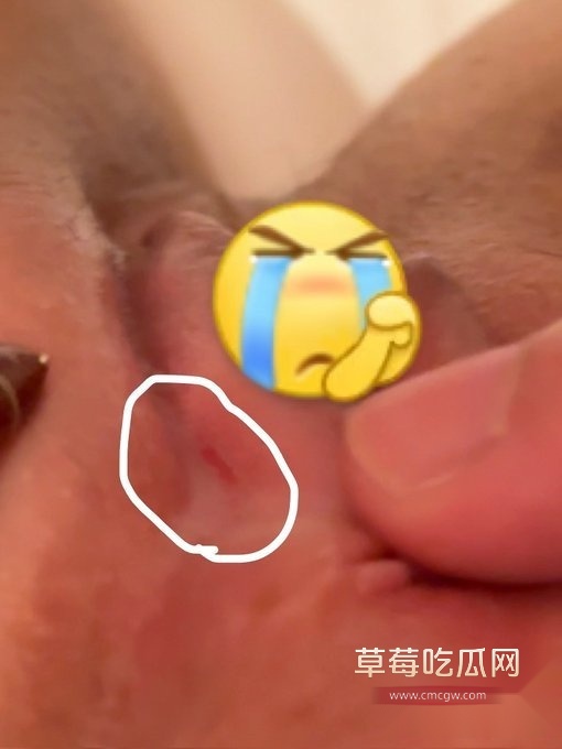 丸崽做鸡vlog1.jpg 丸崽做鸡vlog1.jpg