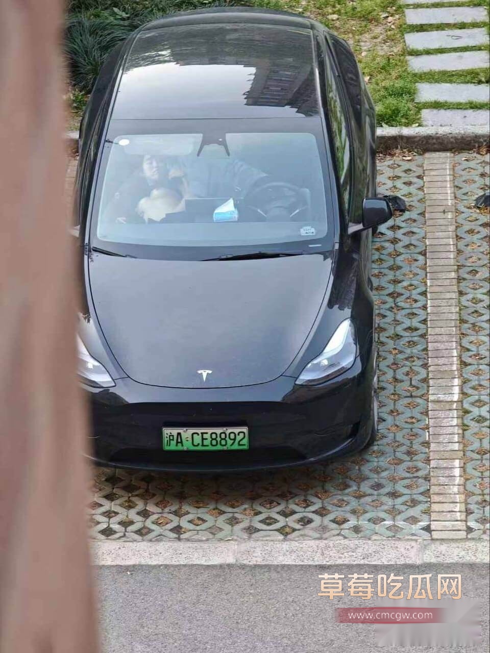 画板备份 853.jpg