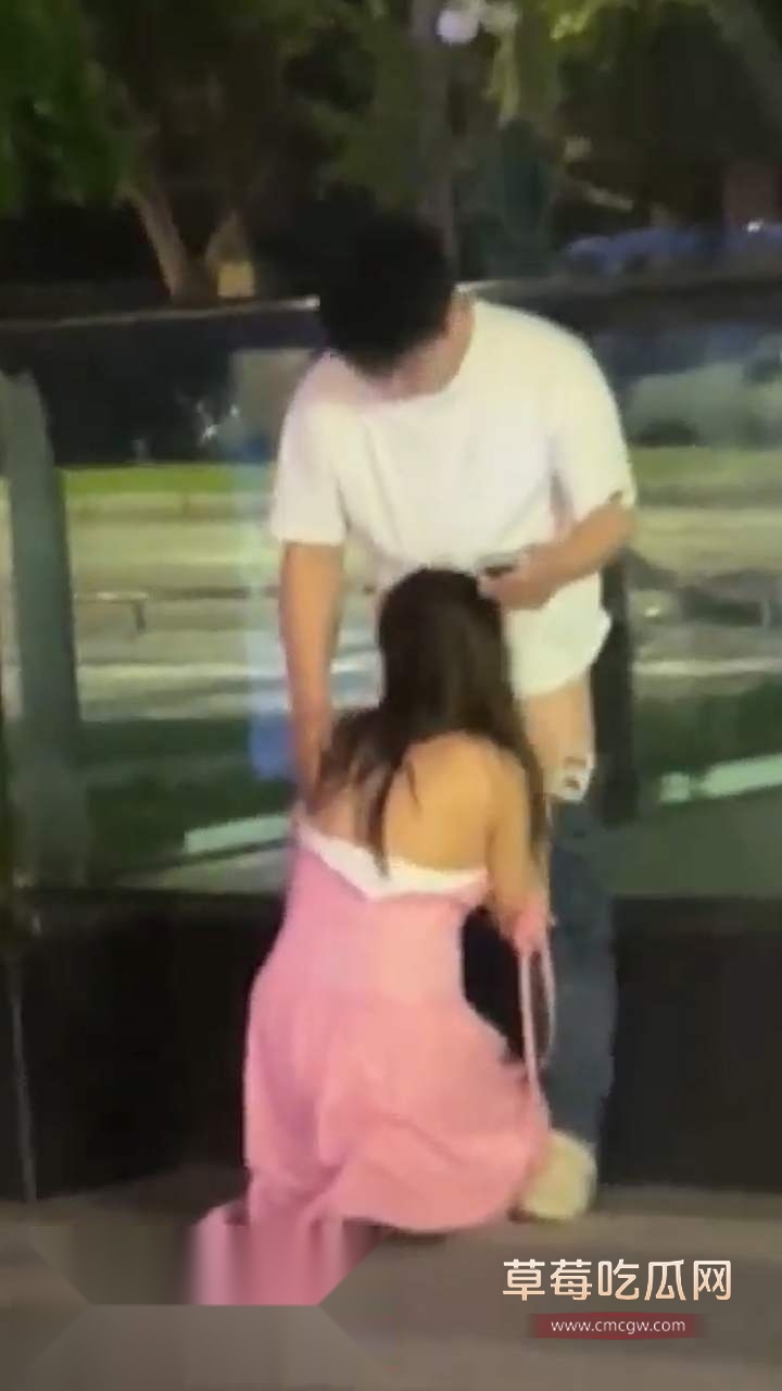 大胆情侣街头吃鸡 (4)