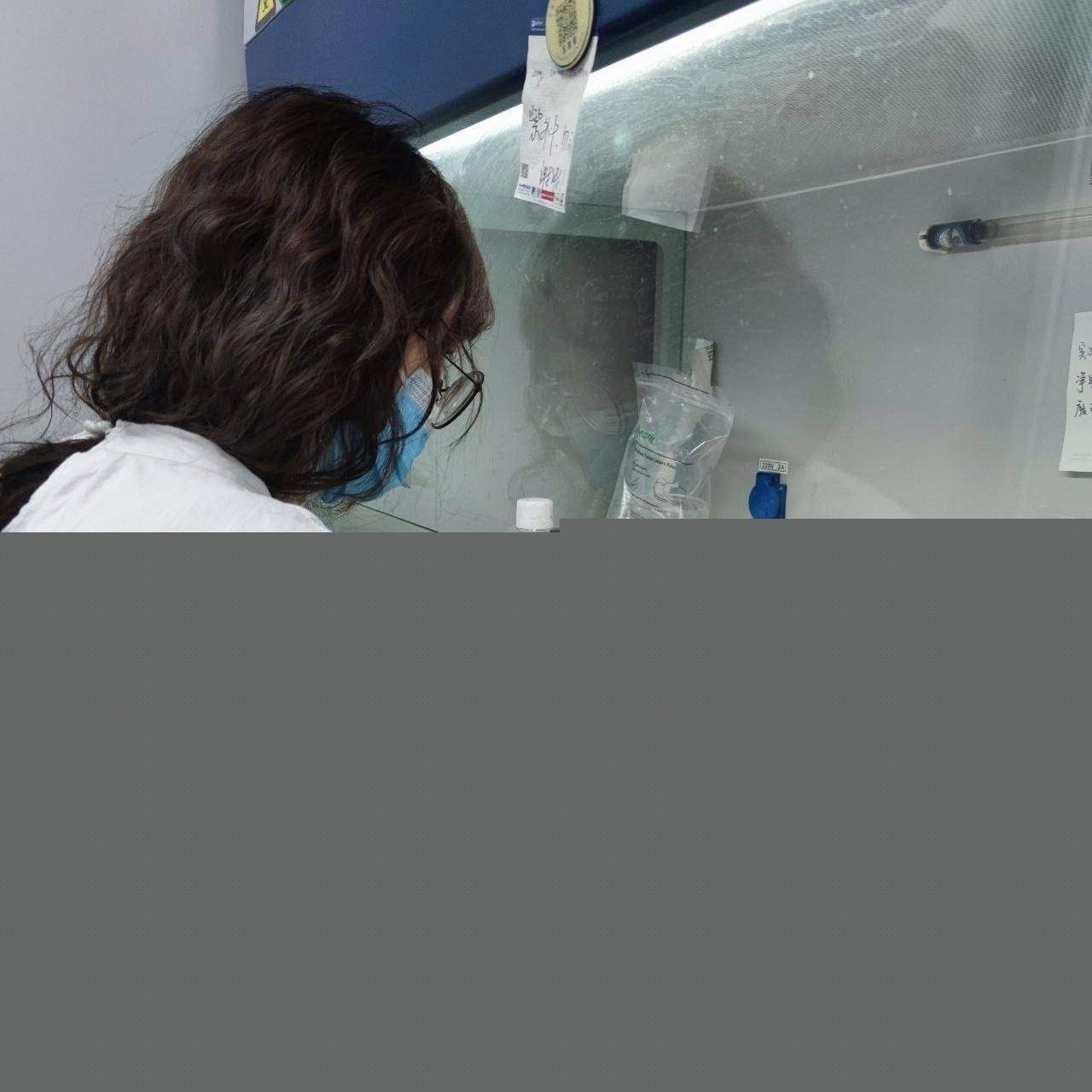 在校大学生给钱就能约 (2)