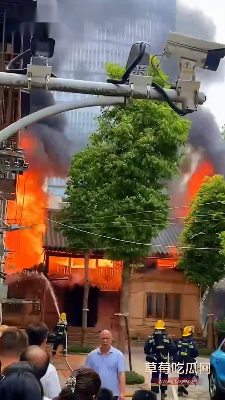 十亿文物灰飞烟灭 (3)