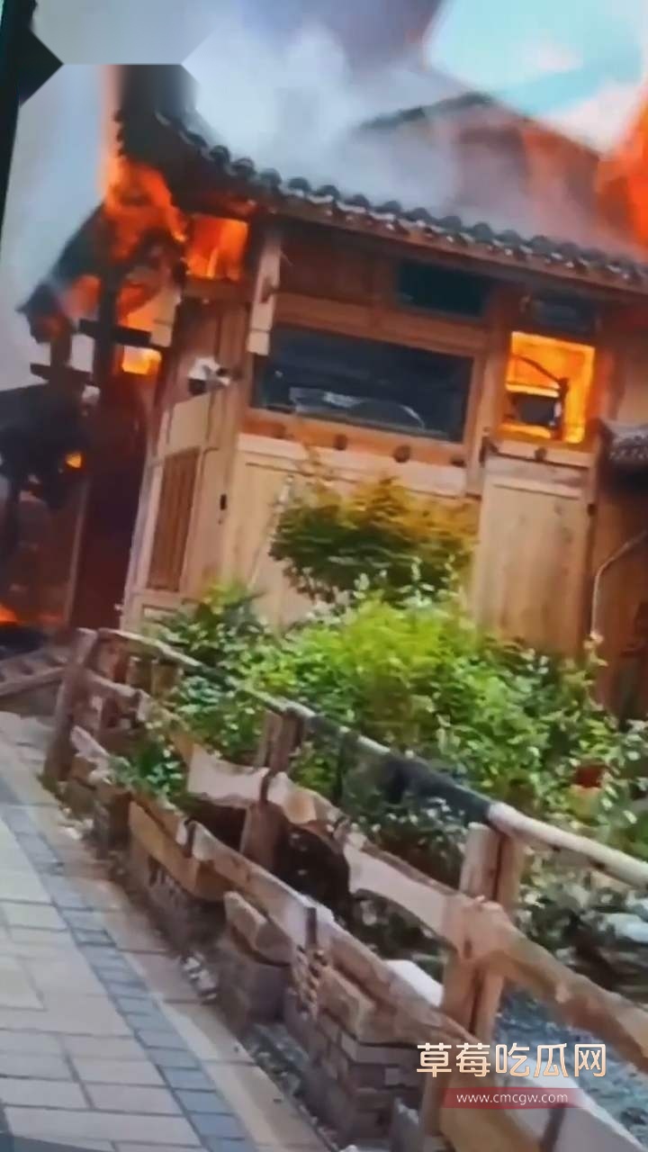 十亿文物灰飞烟灭 (4)