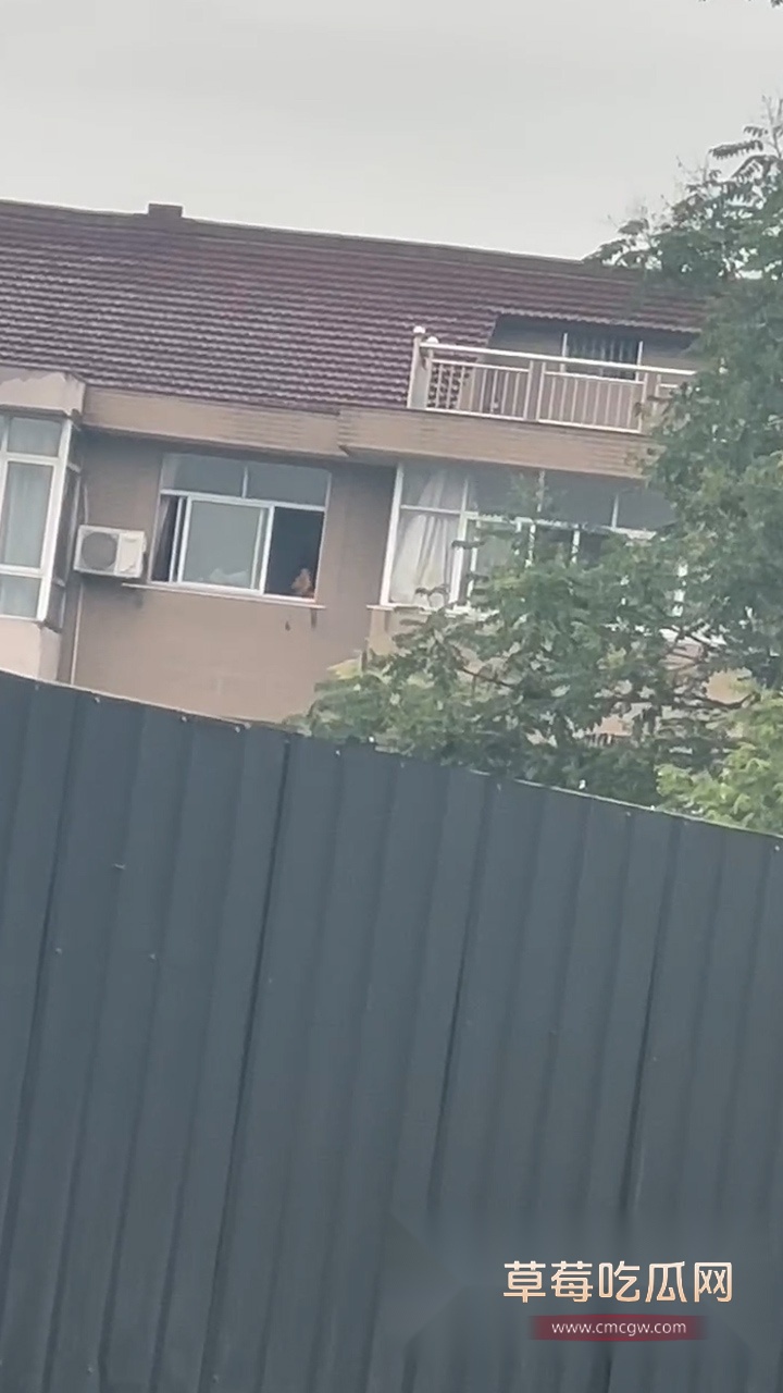 情侣不拉窗做爱 (3)