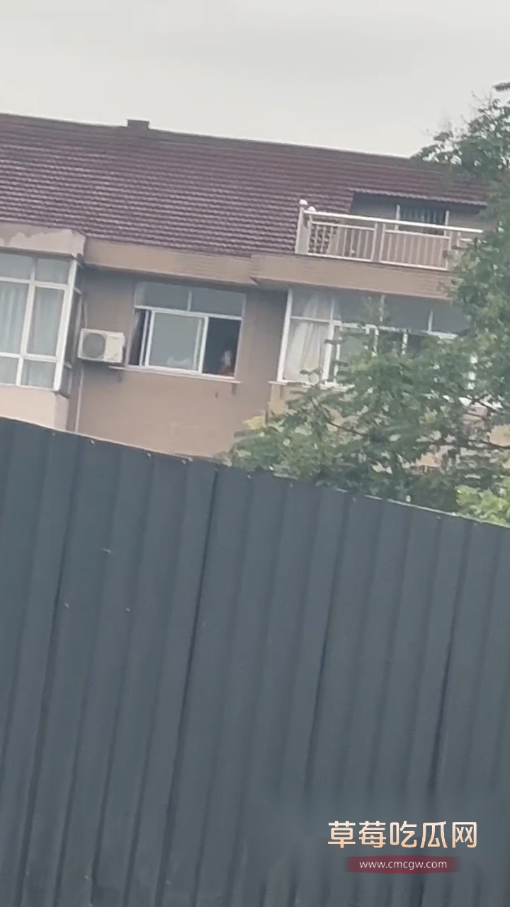 情侣不拉窗做爱 (4)