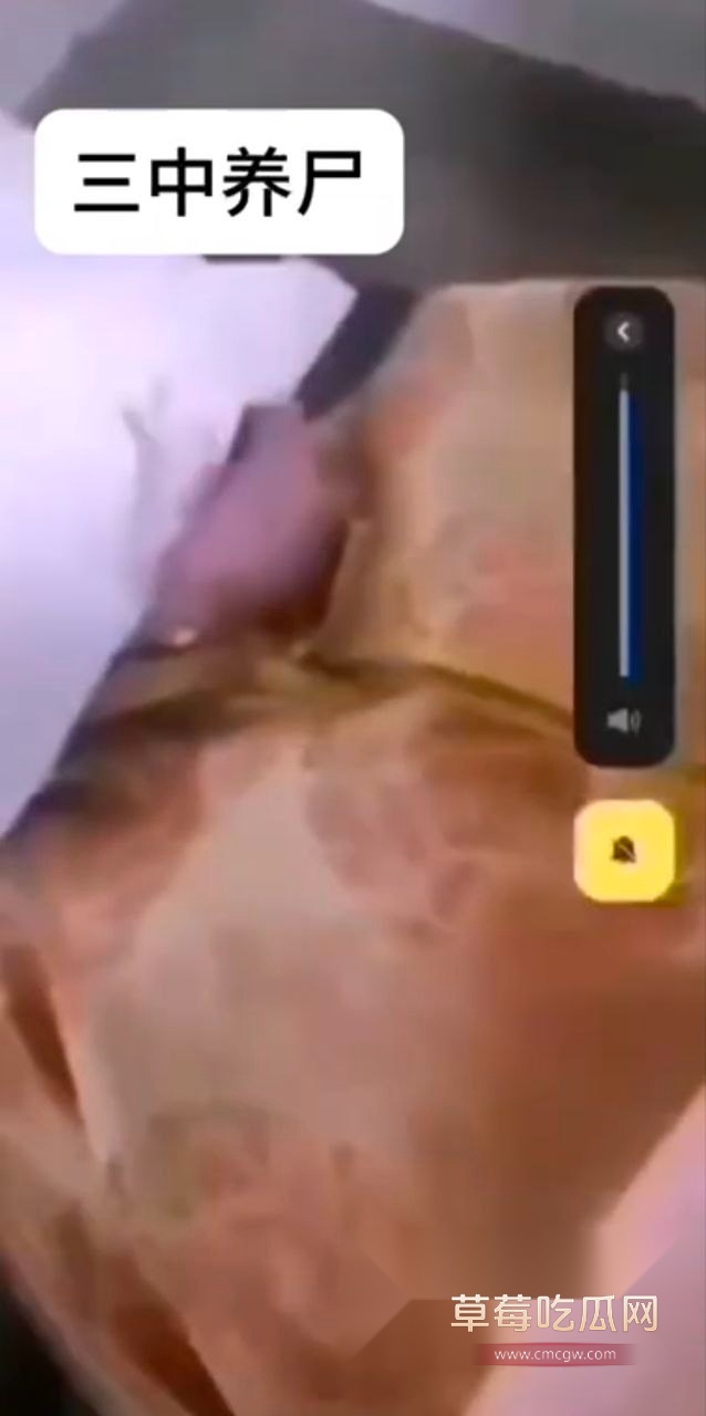 photo_2025-05-11_13-38-30