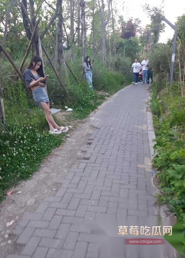 1746955459383 1746955459383