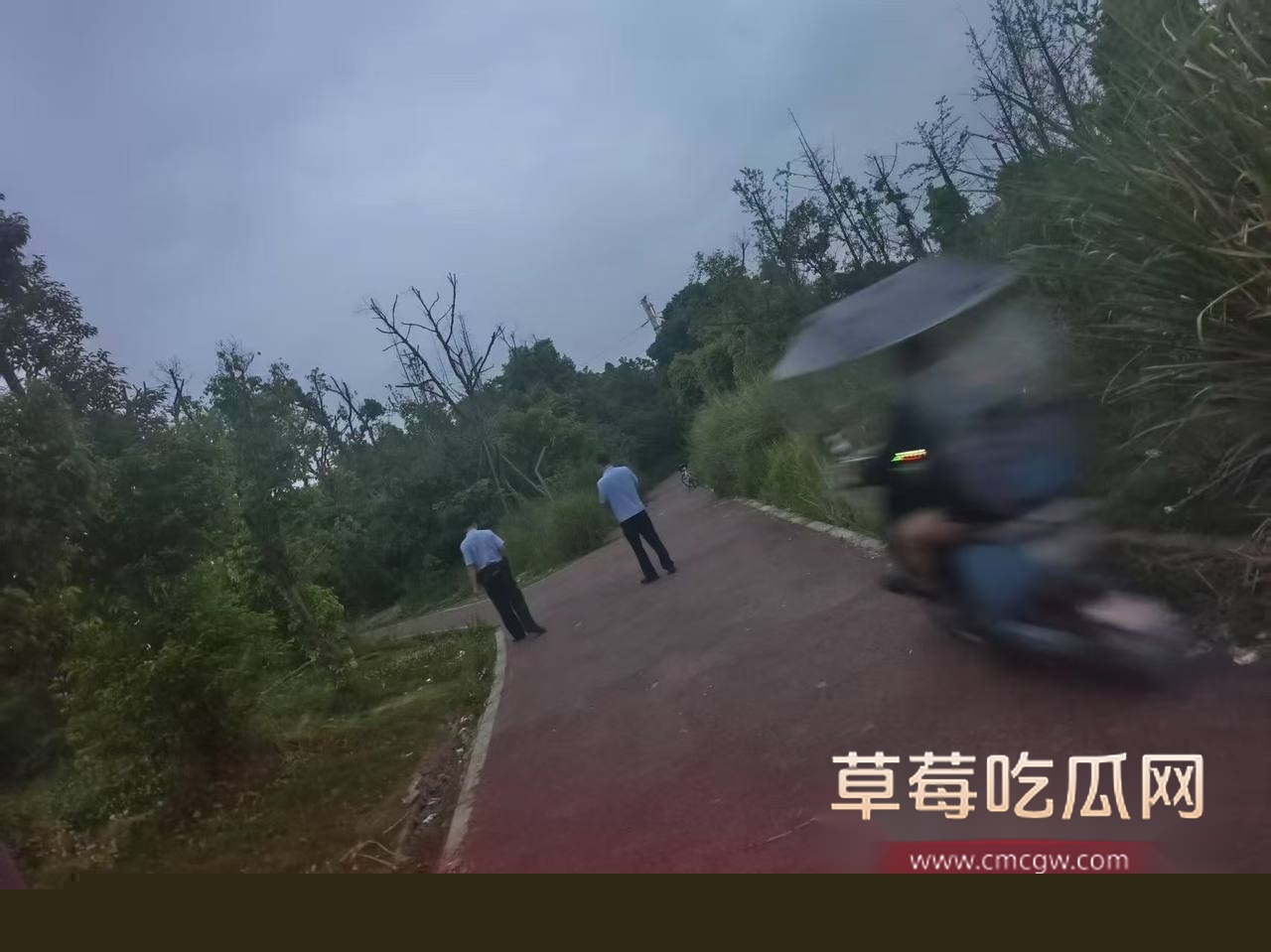 photo_2025-05-11_11-16-57 photo_2025-05-11_11-16-57