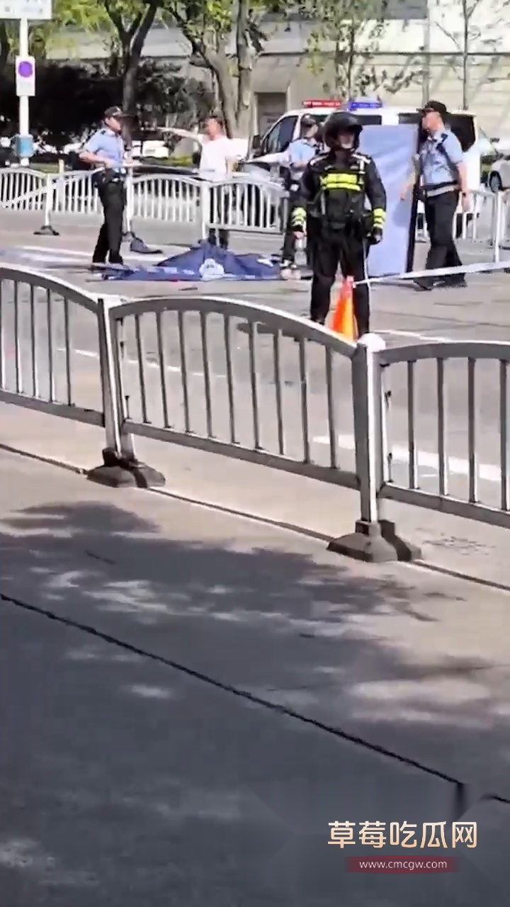 海宁街头杀人实录 (1)