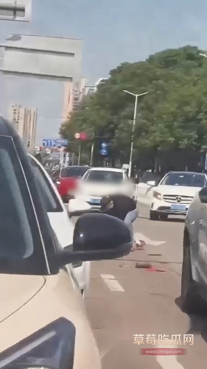 海宁街头杀人实录 (2)