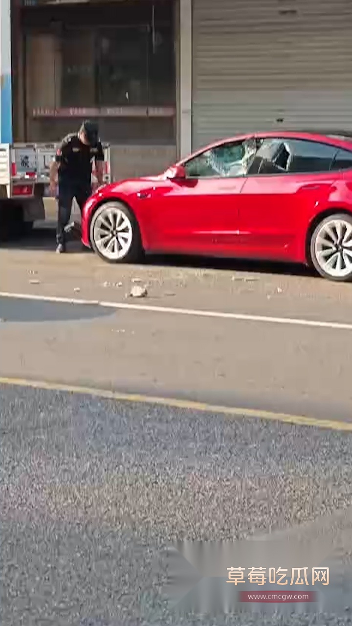 保安砸特斯拉 (1)