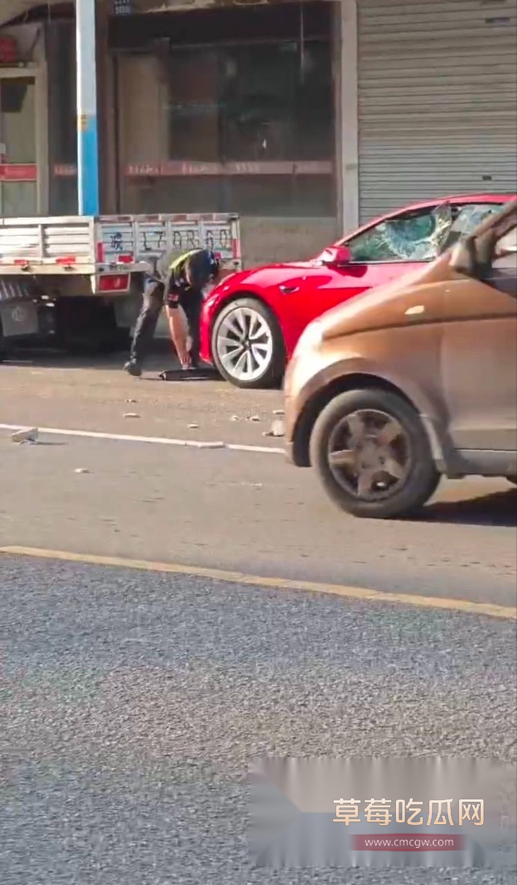 保安砸特斯拉 (5)