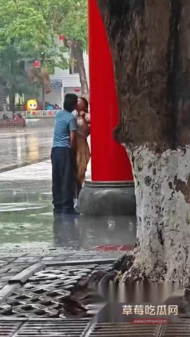 下着雨还要在外面搞 (3)