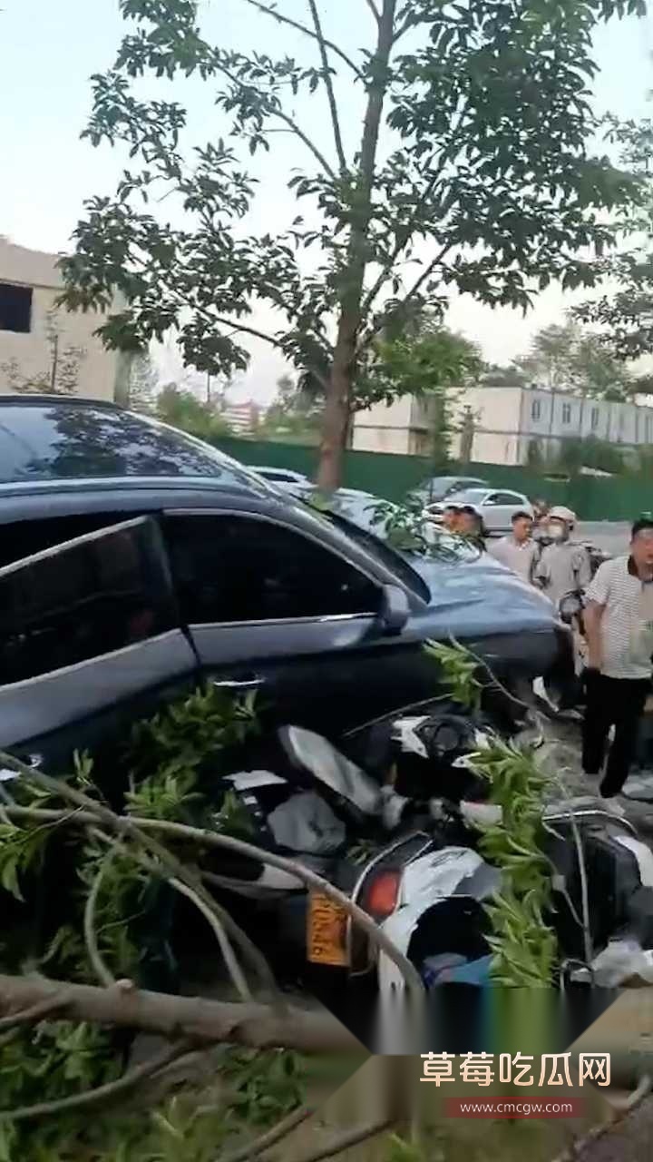 陕西安康交通事故 2