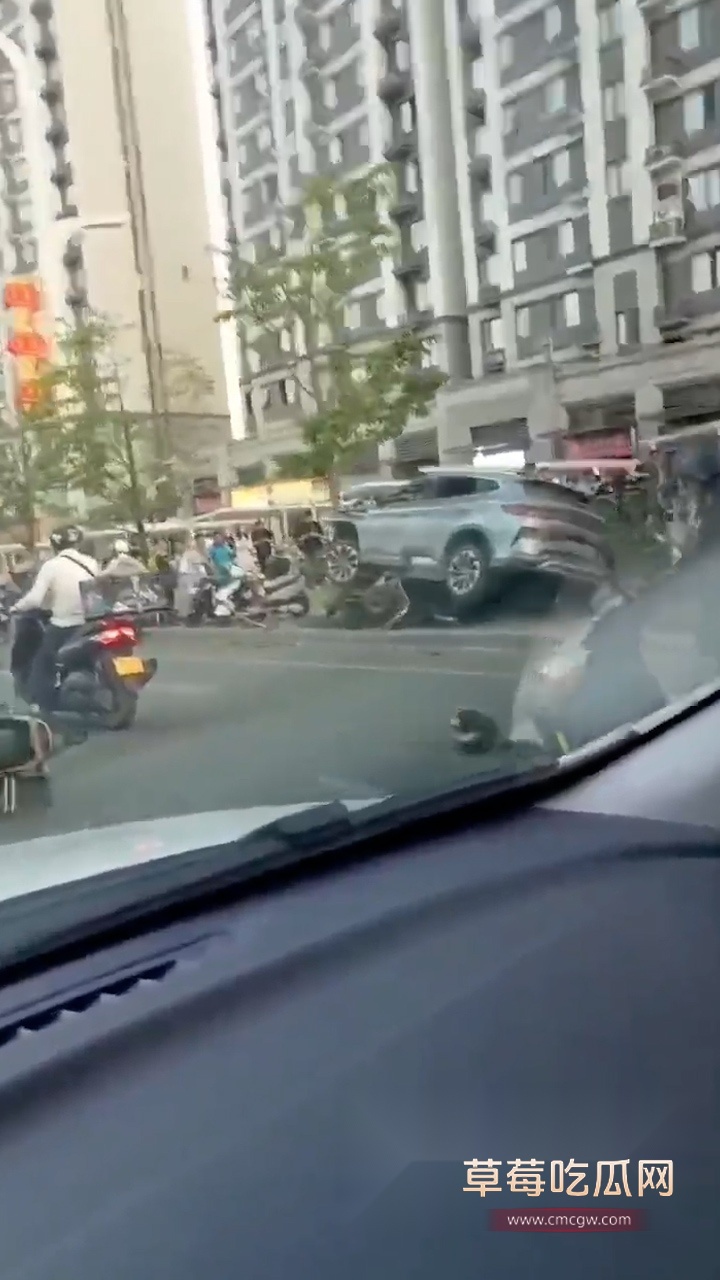 陕西安康交通事故 3