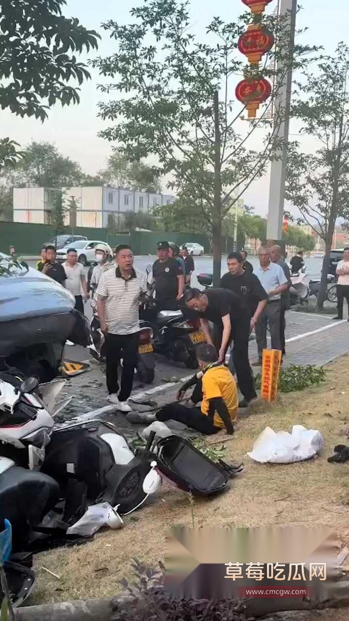 陕西安康交通事故 6