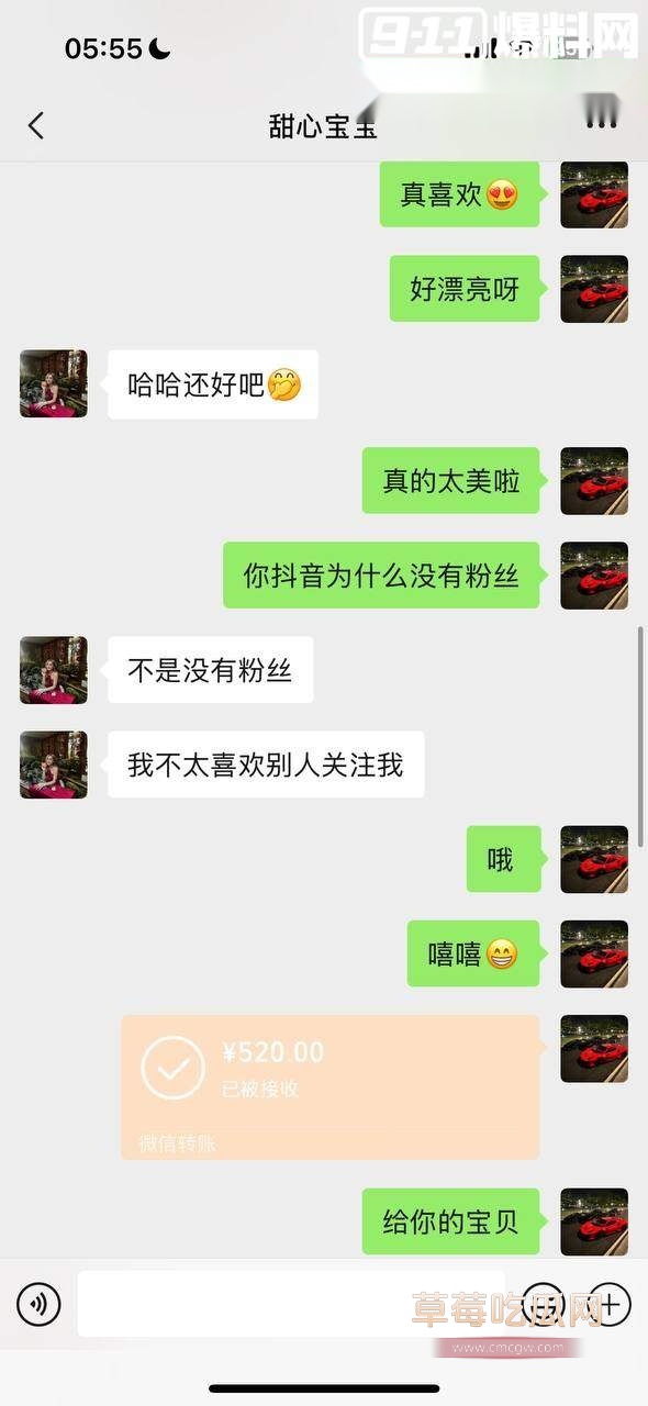 抖音甜心宝宝裸聊视频 11