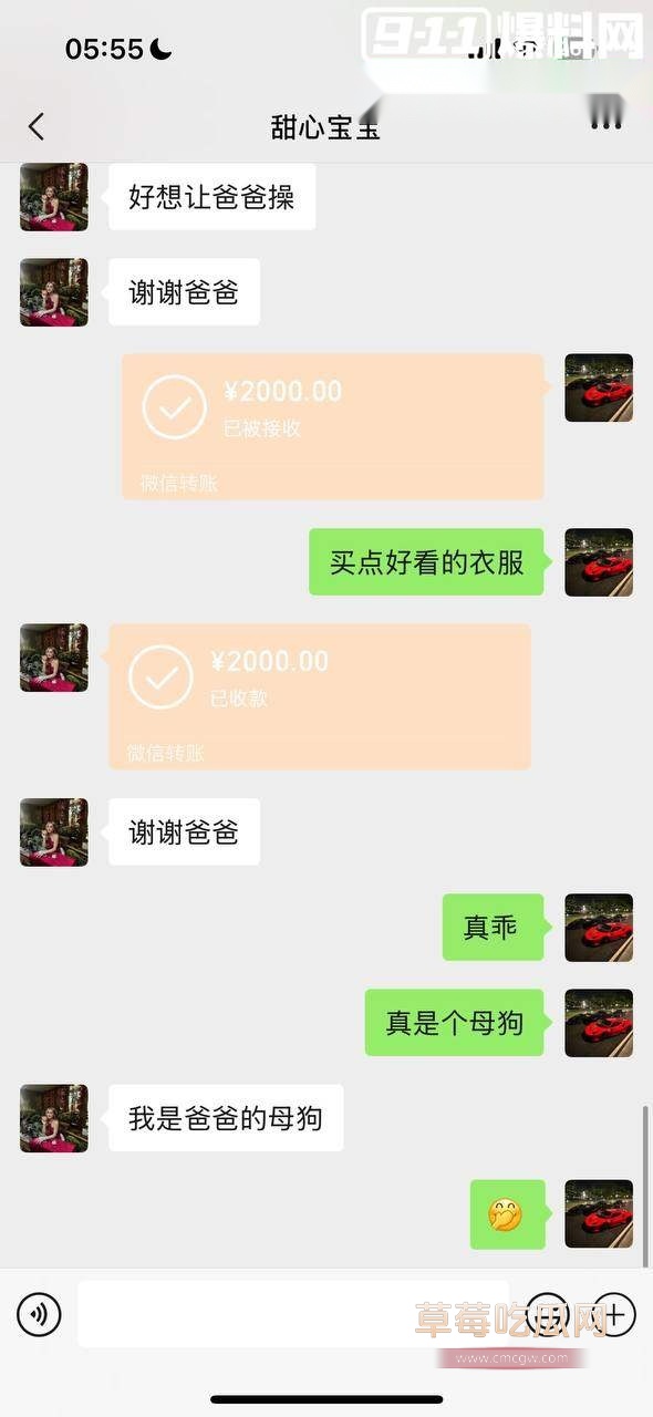 抖音甜心宝宝裸聊视频 14