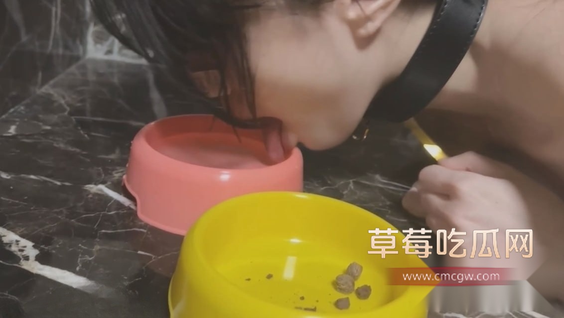 创可贴贴新作 1 创可贴贴新作 1