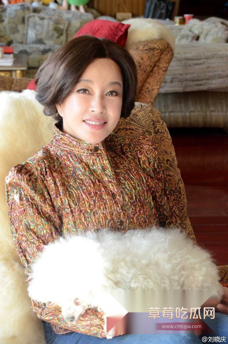 刘晓庆又曝偷税漏税 2 刘晓庆又曝偷税漏税 2