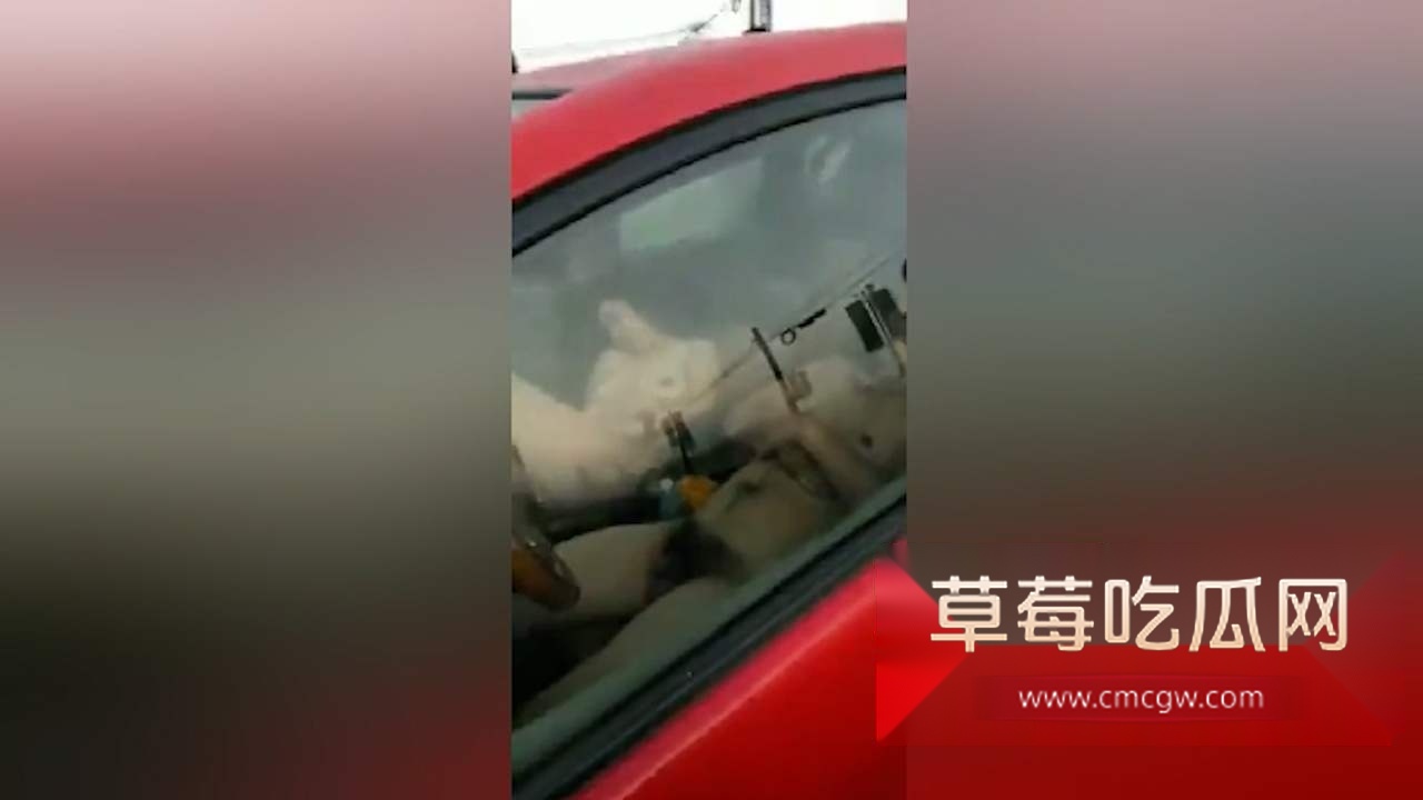 各种地方各种操偷拍合集 8 各种地方各种操偷拍合集 8