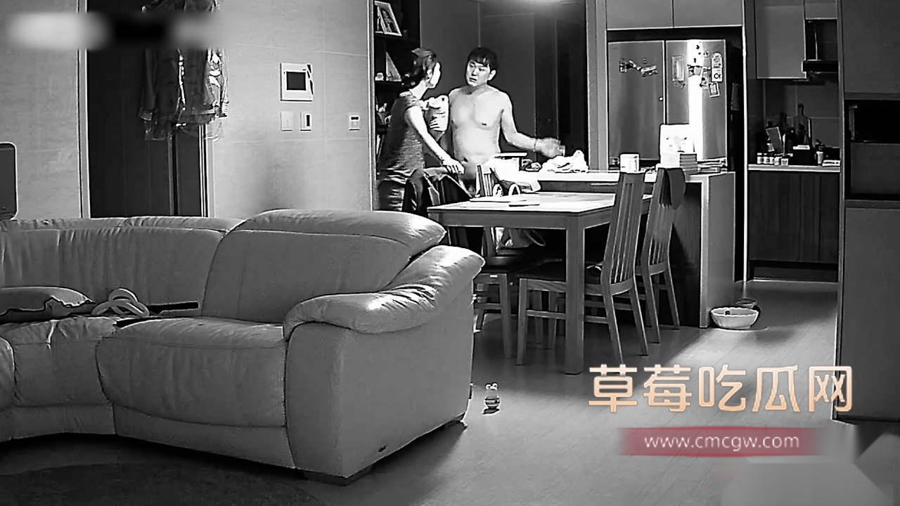 韩国家庭摄像头破解 3 韩国家庭摄像头破解 3