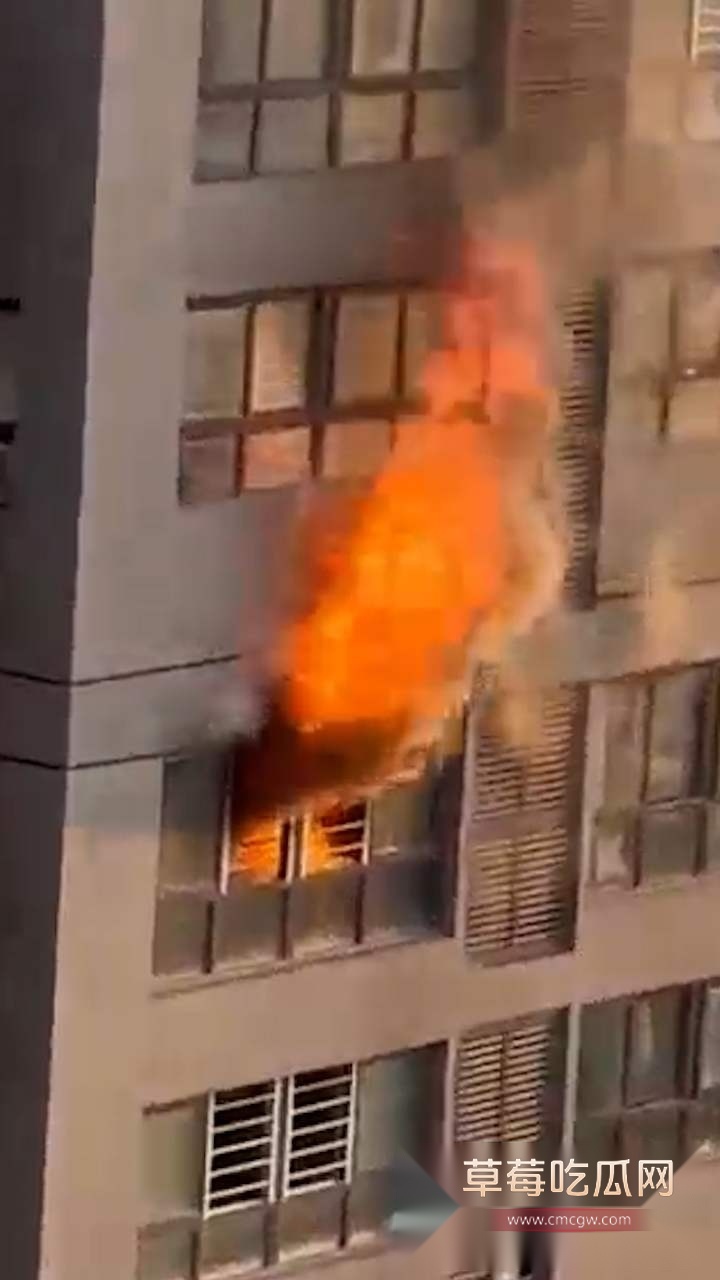 重庆高层起火 3