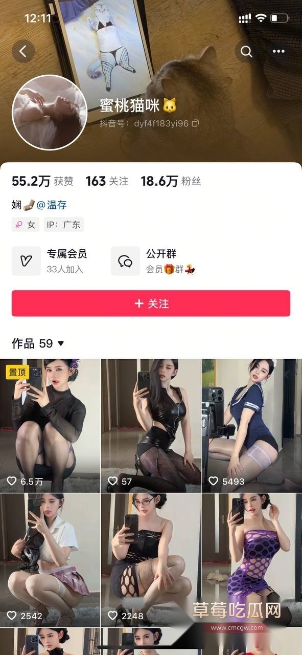 蜜桃猫咪收费会议泄密 4