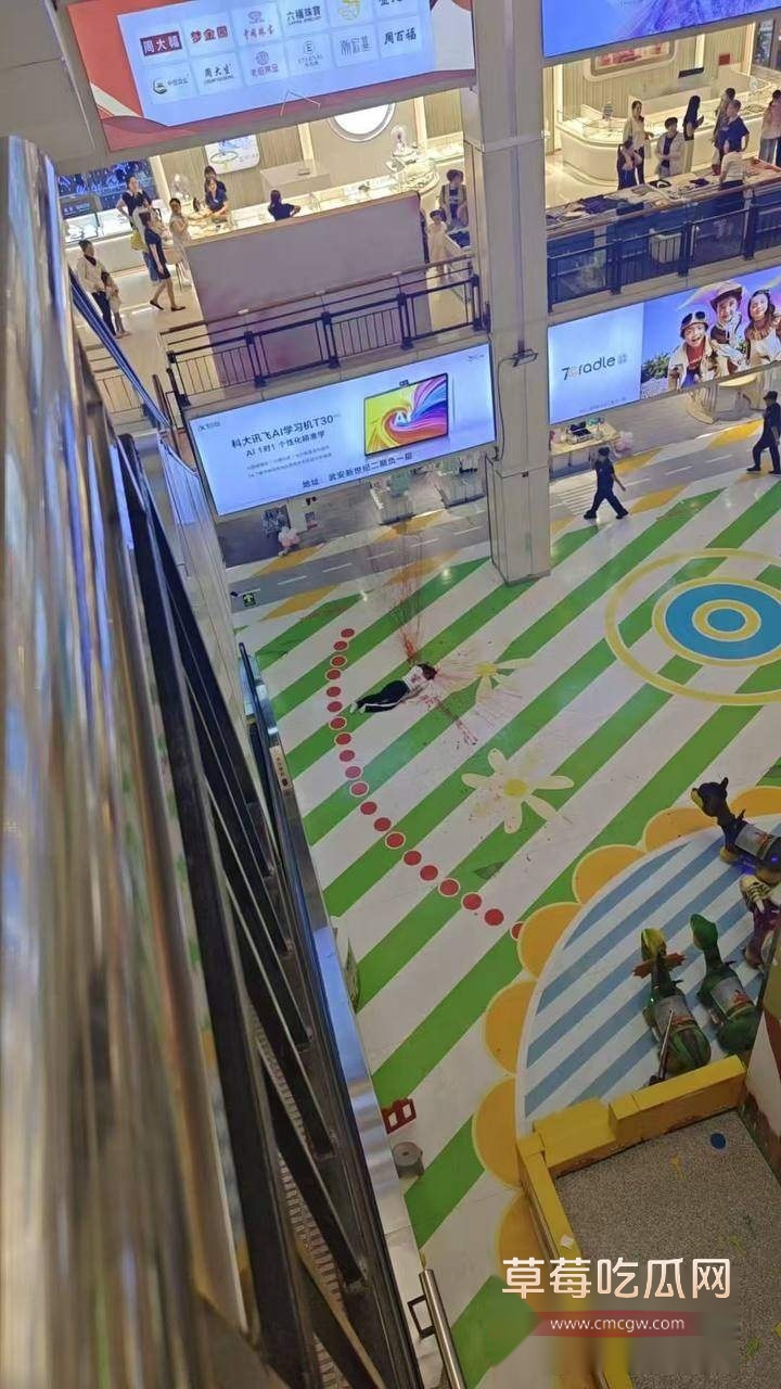 武安新世纪跳楼事件 3