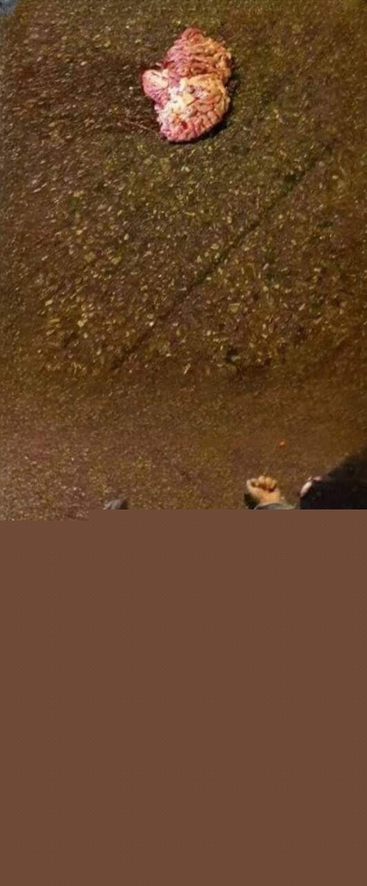 飙车脑子都撞出来了 3