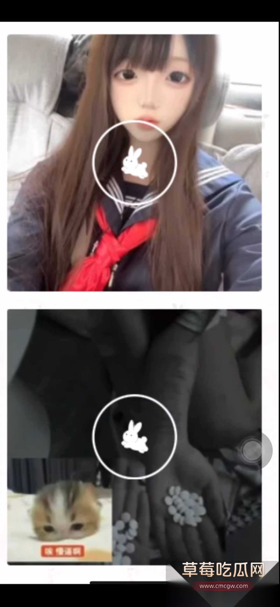 抖音热点虐猫事件 2