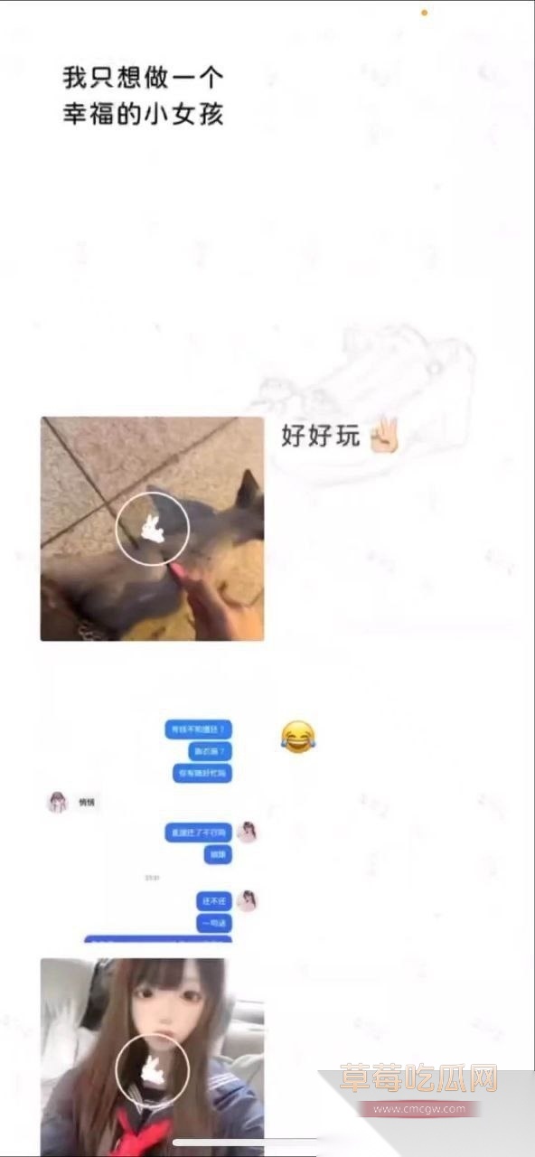 虐猫事件2