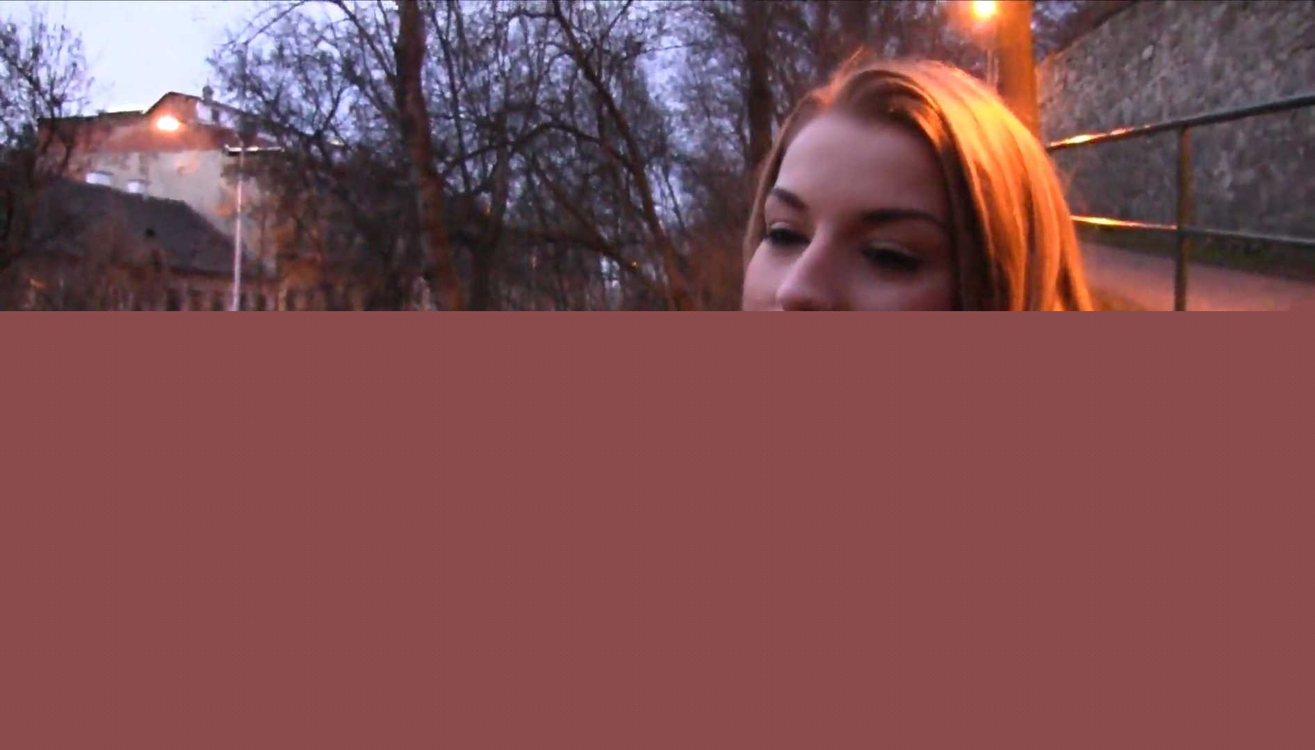 捷克公园钞能力出击 1