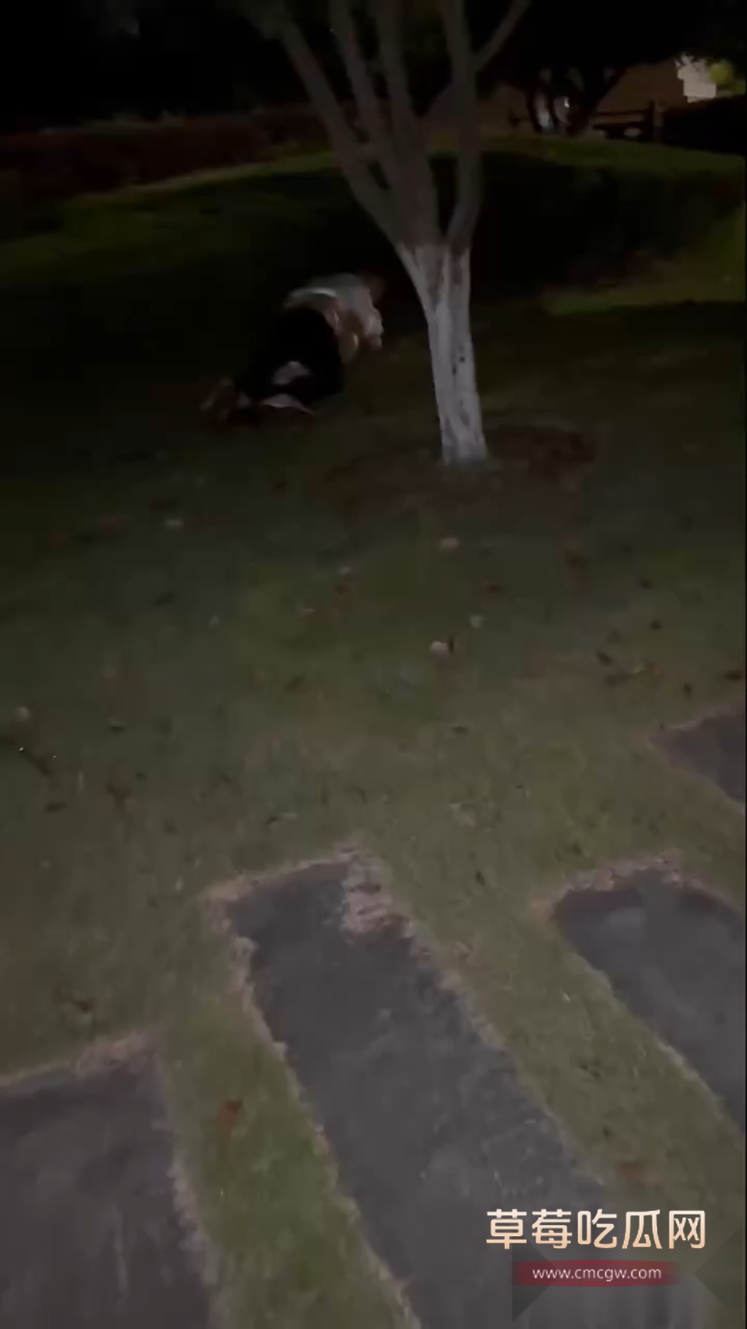 520打响野战第一炮 1