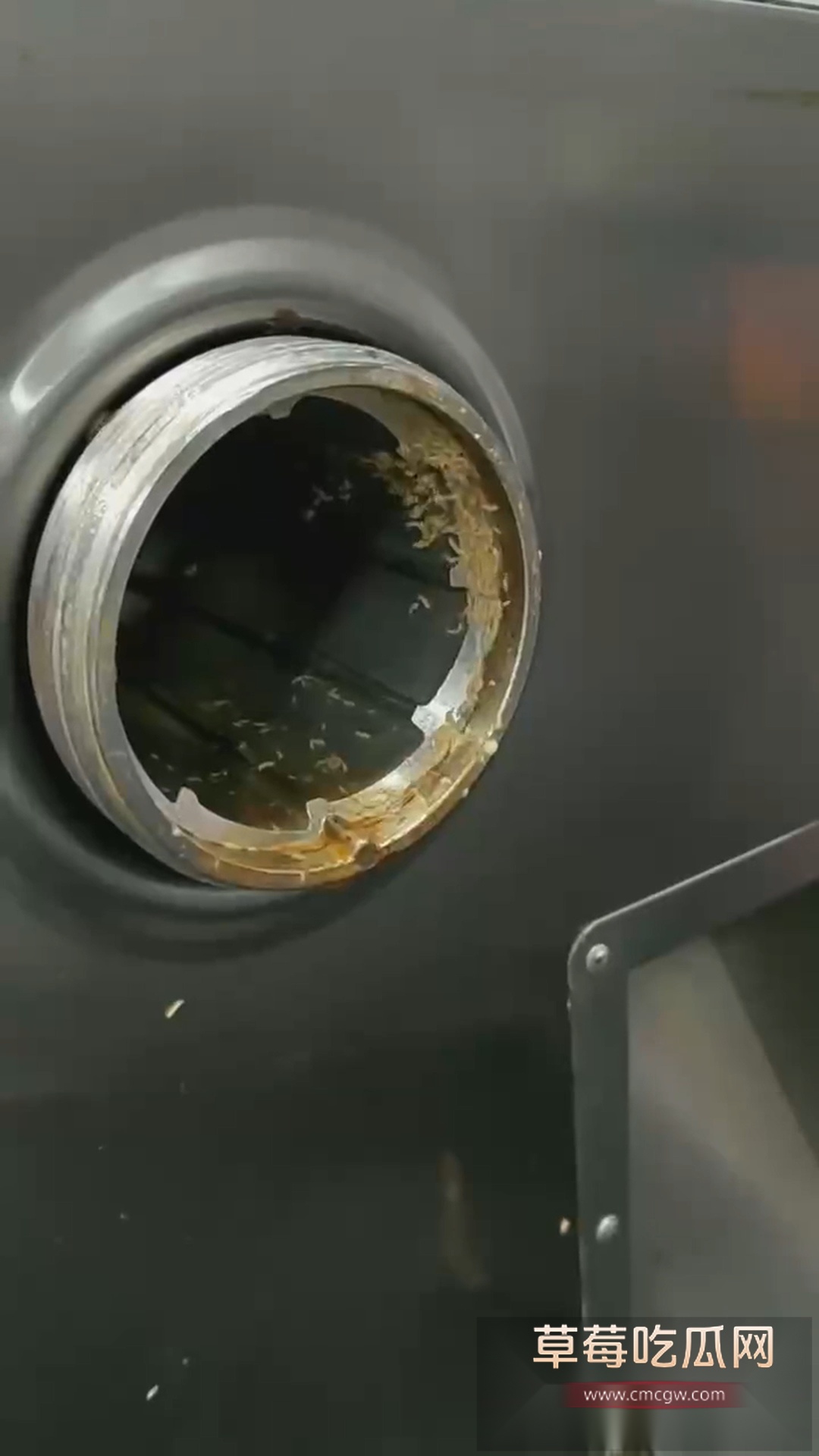 .姚北实验学校 食堂 暴雷