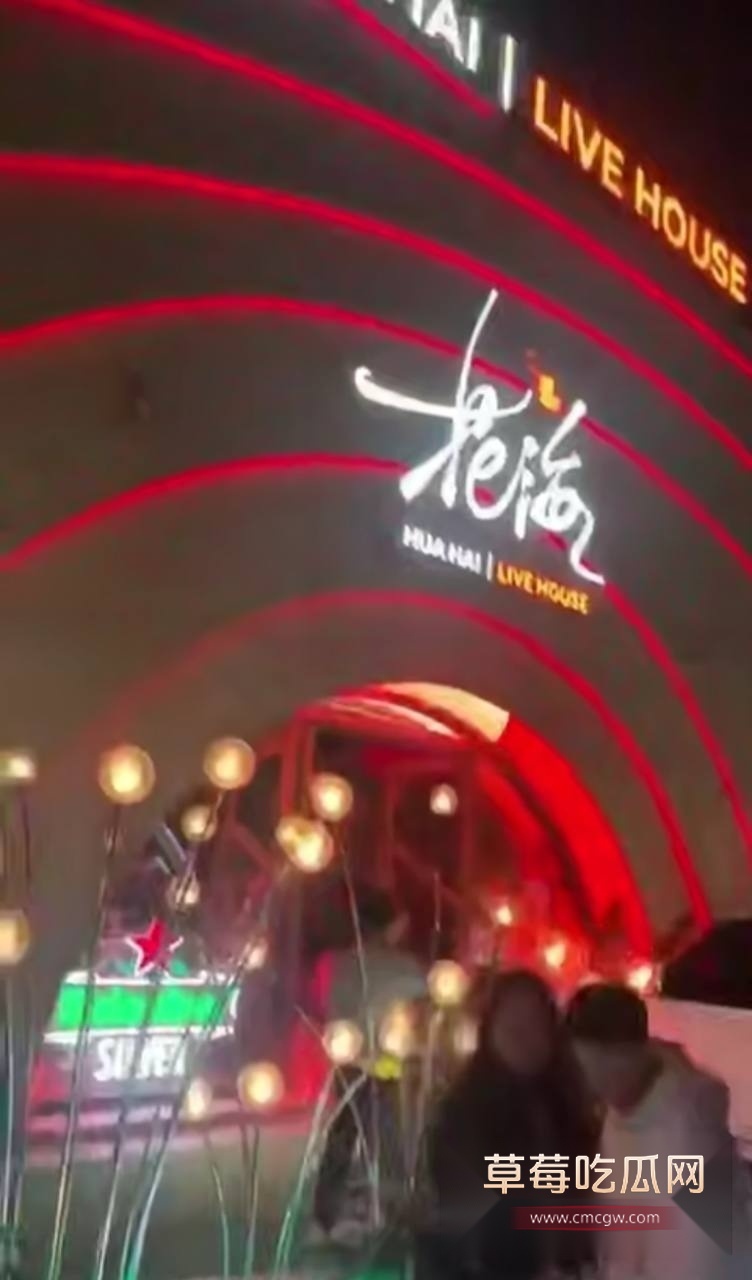 开路虎冲撞路人 3