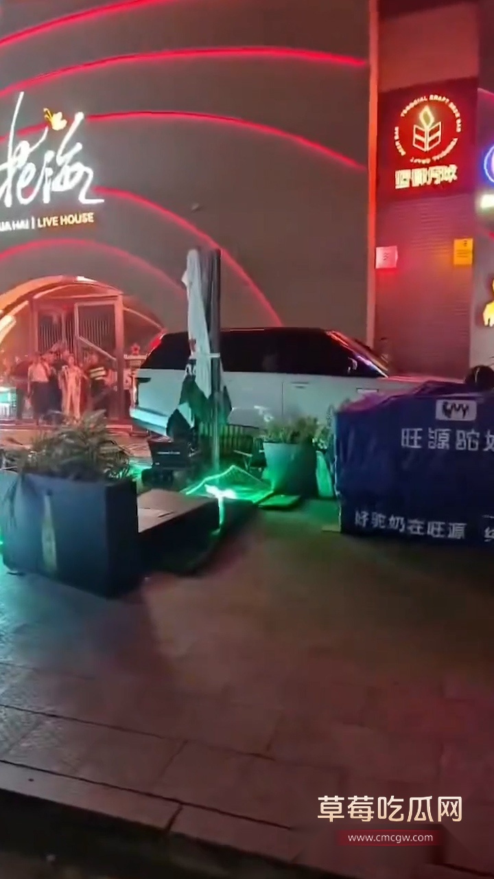 开路虎冲撞路人 5