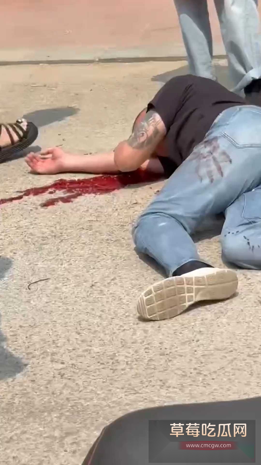 辽宁营口兆东汽配行后生仔1V2 5 辽宁营口兆东汽配行后生仔1V2 5