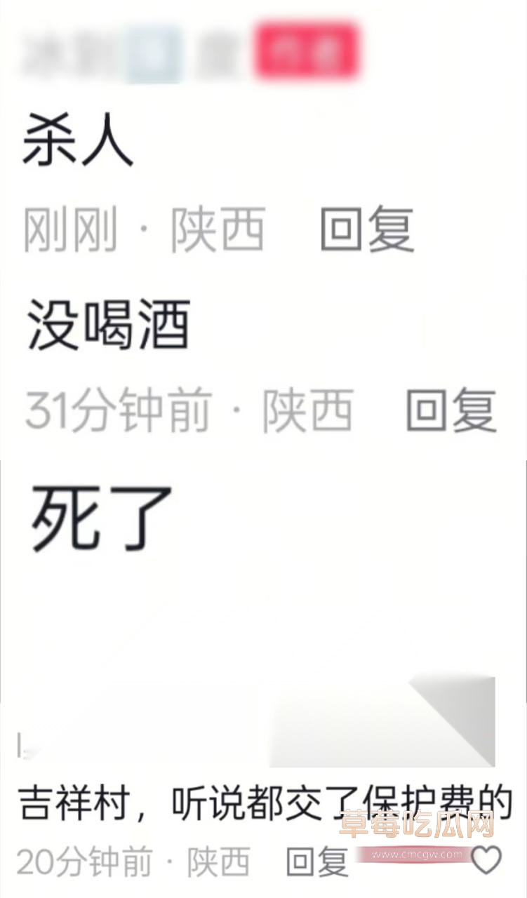 西安吉祥村血案 4