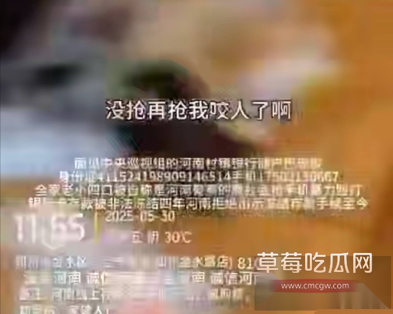 河南 村镇银行3