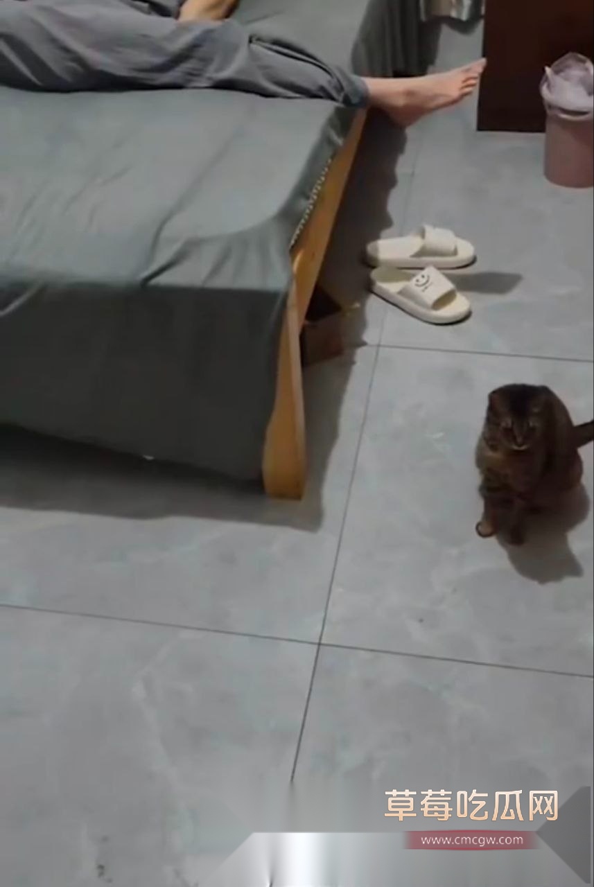 冲进卫生间强上妹妹 9