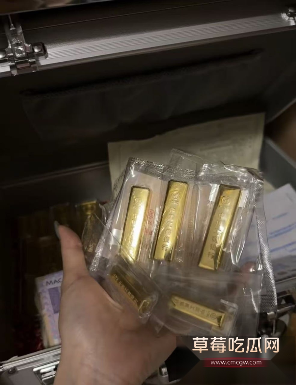 song和天鹅肉互撕 11 song和天鹅肉互撕 11