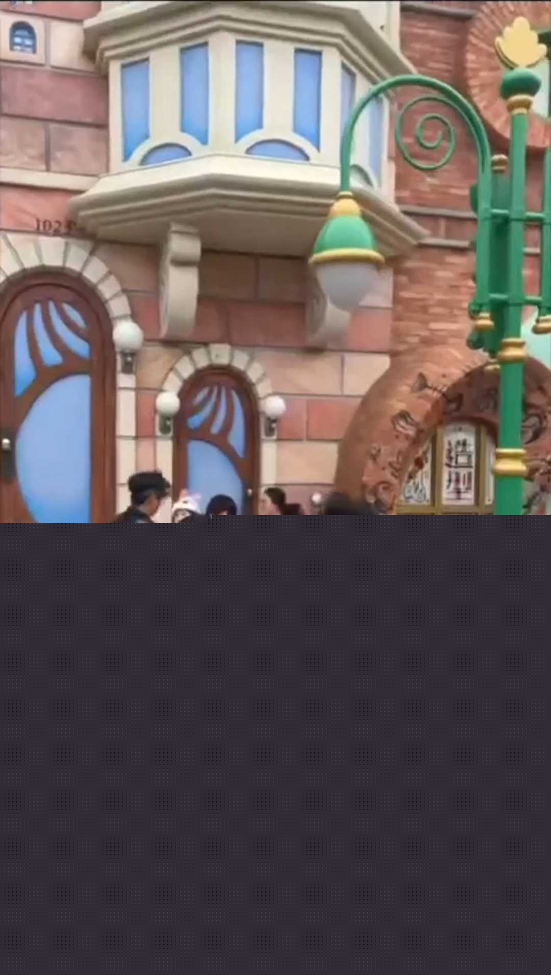 上海迪士尼两对情侣发生口角 撕扯打架 3 上海迪士尼两对情侣发生口角 撕扯打架 3