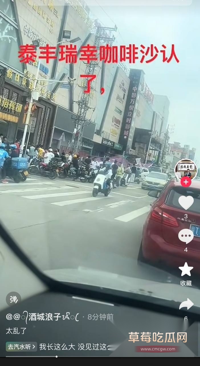 泰丰瑞幸情杀案 1